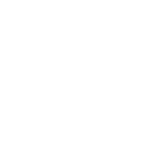 Play Icon