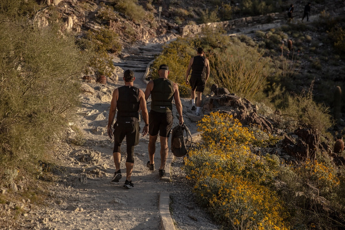 Zone 2 Cardio Training to Burn Fat and Boost Endurance